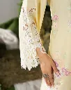 KC319M6.webp