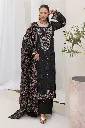 RA209J4.webp
