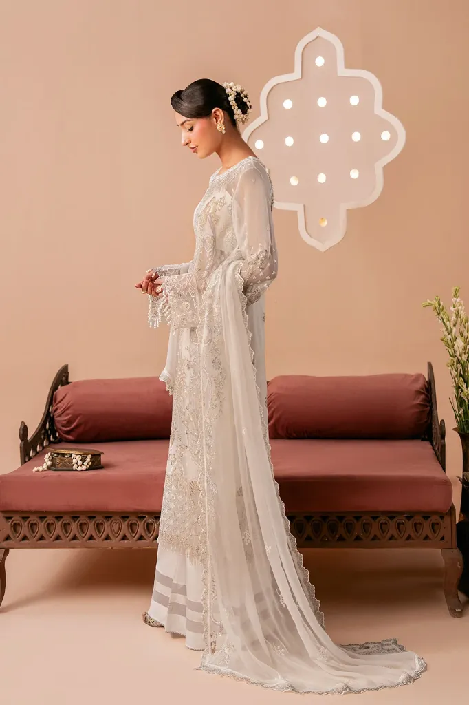 RA221J5.webp