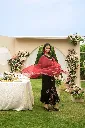 TW295K5.webp
