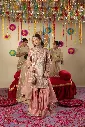 ZR226L5.webp