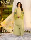 Cotton KC216M