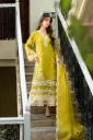 Khaddi Net AZ42K