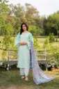 Cotton Lawn KC300M