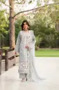 Cotton KC79M