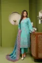 Dhanak MB96J