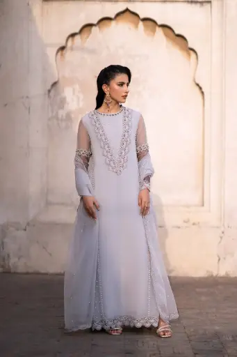 Organza & Raw Silk VA06K