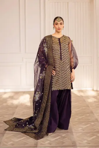 Organza & Raw Silk VA09K